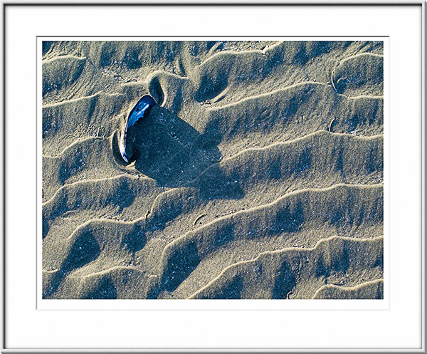 Image ID: 100-132-3 : Shadow, Shell, and Sand 